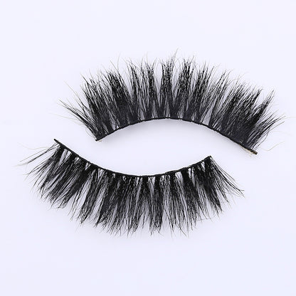 b1071ec1e240d6f897a262a15a8f1c42