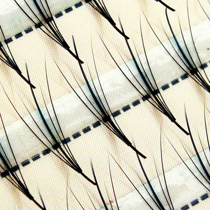 fc709b8034cf8b0559b278145a60f54a