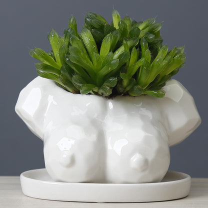 c0c83ab9c7ba0940c14b00021682ad05
