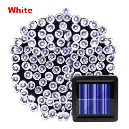 45ef915cb157c35e9ebc2363322ff9bd