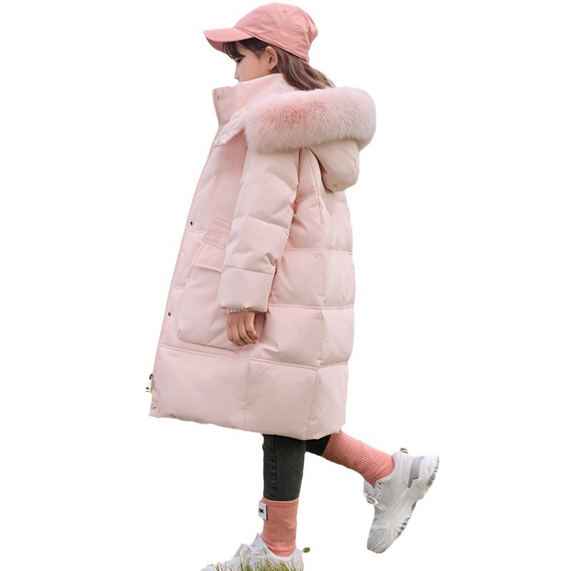 a024f85adf11ba9c40ce21d1439962e2