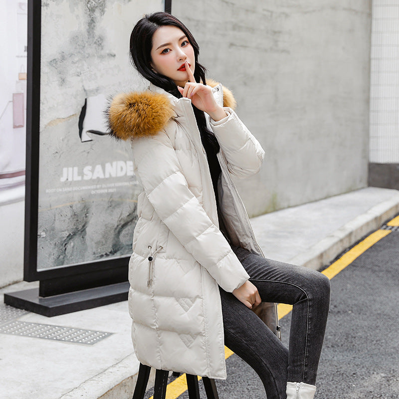 58485c747c6664ea3a854c91b88f429f